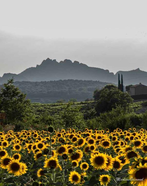 Chambres D'Hotes Aux Tournesols Malaucène Eksteriør bilde